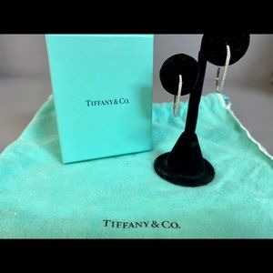 Tiffany & Co. Frank Gehry Torque 18KW + Diamomd earrings